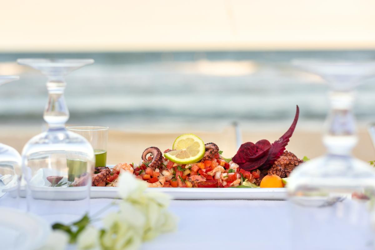 MARHABA-BEACH_363.picture.06122021.1308.61adfe90ad7e99.19720371